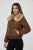 wiz (11).webp