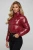 wiz (10).webp